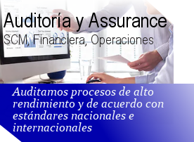 Auditoria y Assurance