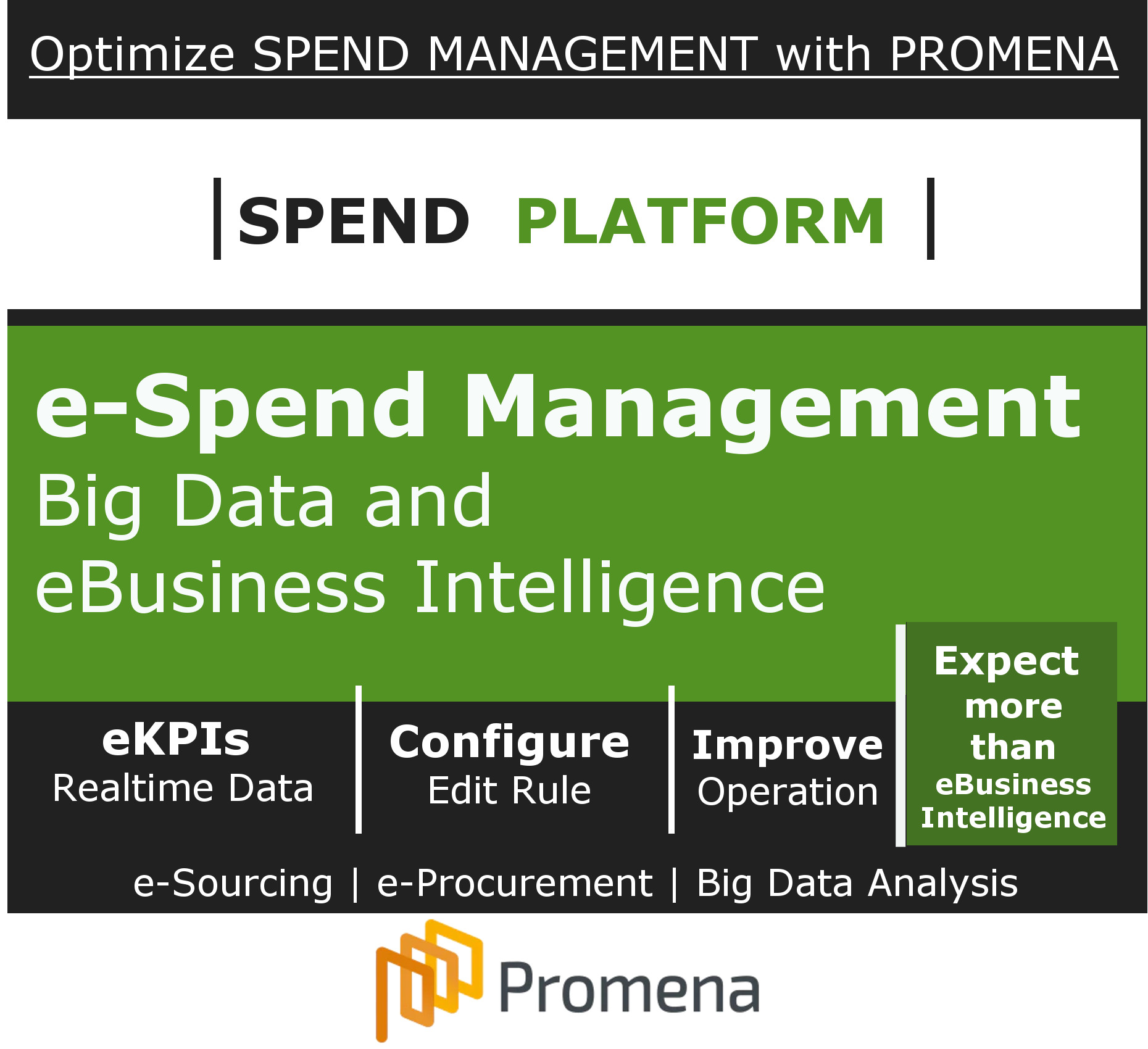 Promena Big Data, Business Intelligence e-Sourcing Platform and Procurement Services