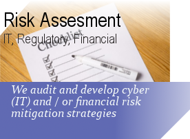 Cyber or Financial Risk Advisory